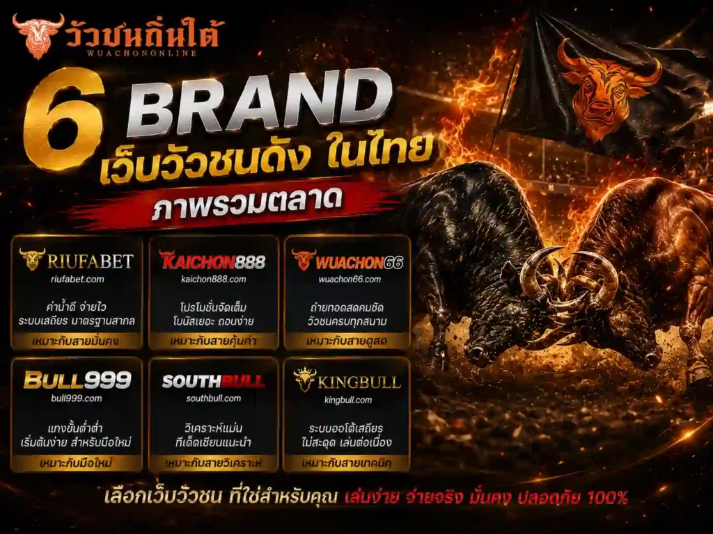 6 brand เว็บวัวชนดัง ในไทย ภาพรวมตลาด