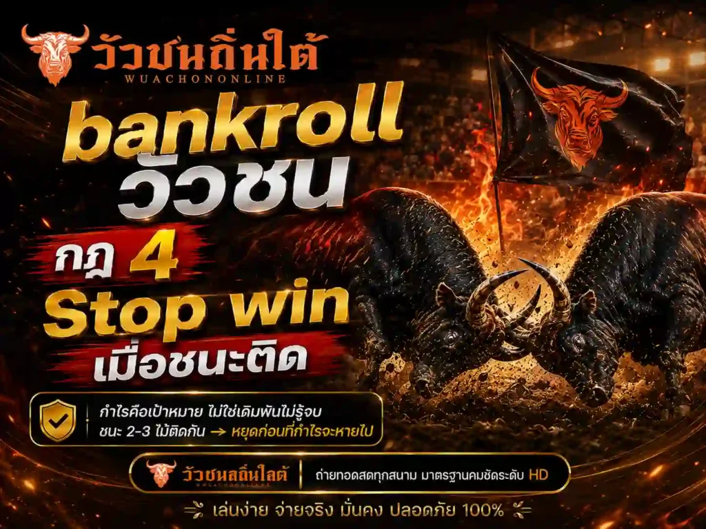 bankroll วัวชน กฎ4 Stop win เมื่อชนะติด