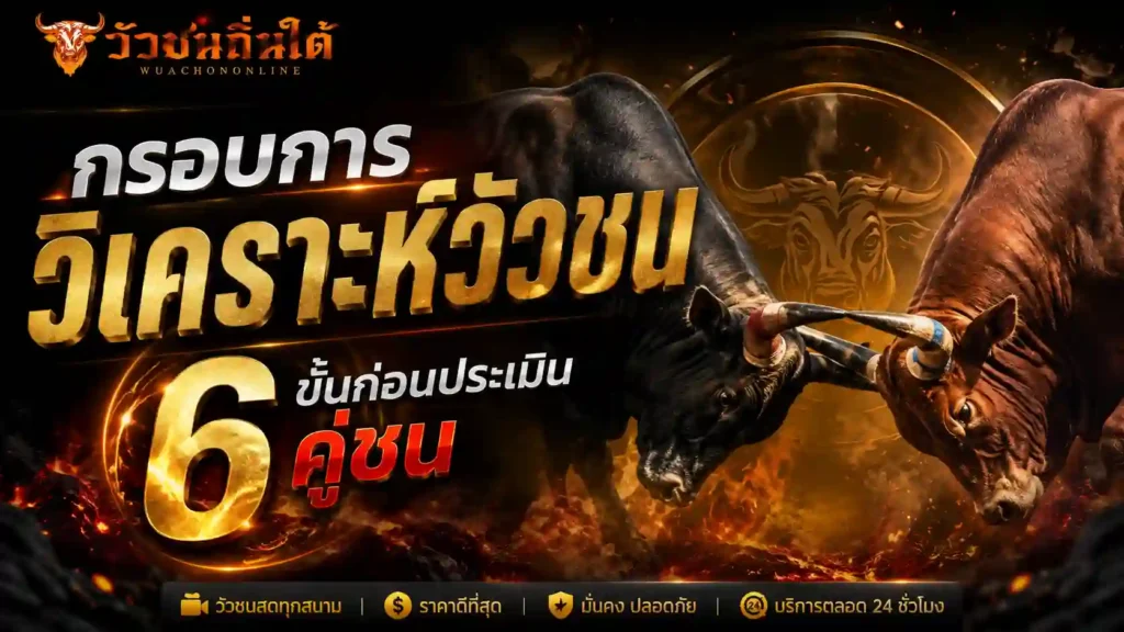 กรอบการ วิเคราะห์วัวชน 6 ขั้นก่อนประเมินคู่ชน