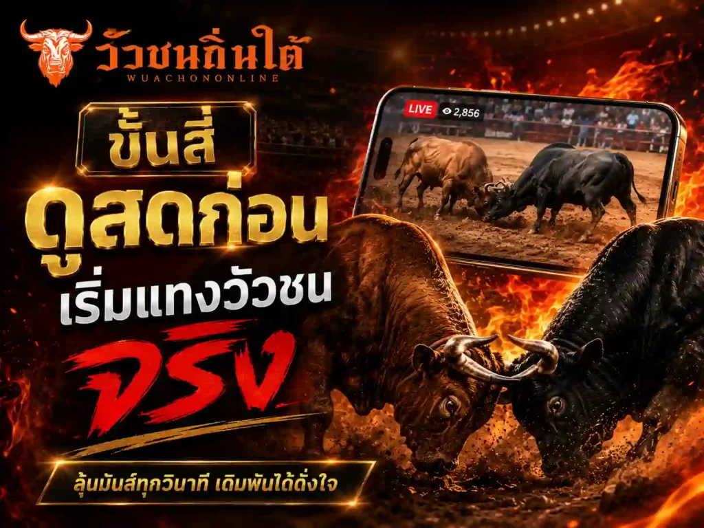 ขั้นสี่ ดูสดก่อน เริ่มแทงวัวชน จริง