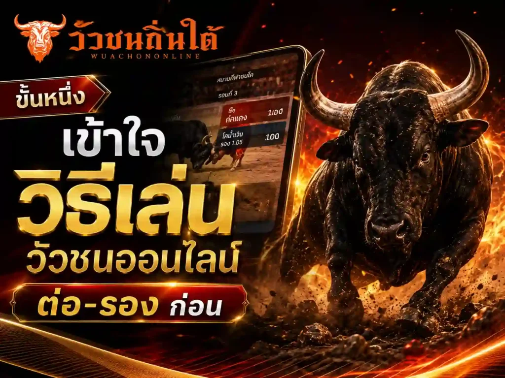 ขั้นหนึ่ง วิธีเล่นวัวชนออนไลน์ ต่อ-รอง ก่อน