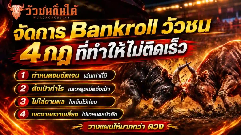 จัดการ Bankroll วัวชน 4 กฎที่ทำให้ไม่ติดเร็ว