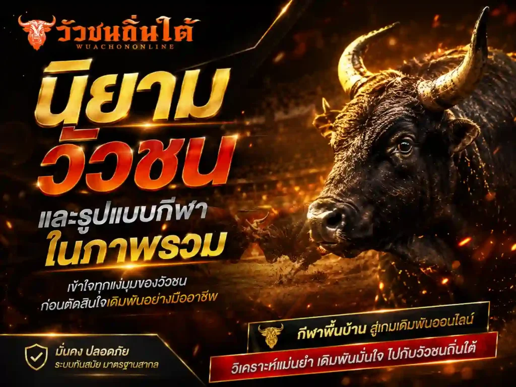นิยาม วัวชน และรูปแบบกีฬาในภาพรวม