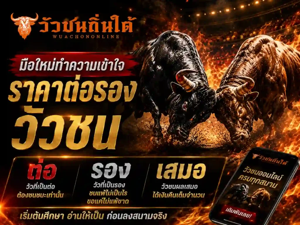 มือใหม่ทำความเข้าใจ ราคาต่อรองวัวชน
