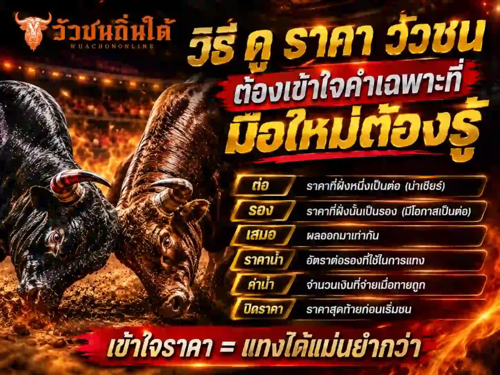 วิธี ดู ราคา วัวชน ต้องเข้าใจคำเฉพาะที่มือใหม่ต้องรู้