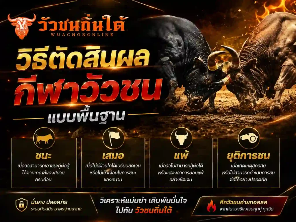 วิธีตัดสินผล กีฬาวัวชน แบบพื้นฐาน