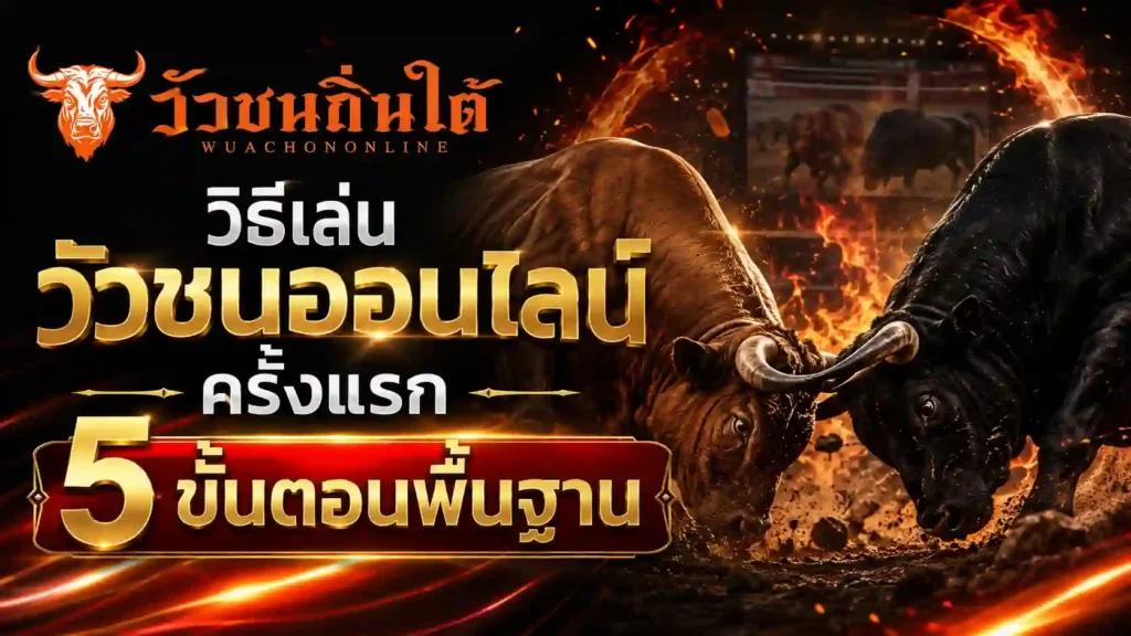วิธีเล่นวัวชนออนไลน์ ครั้งแรก