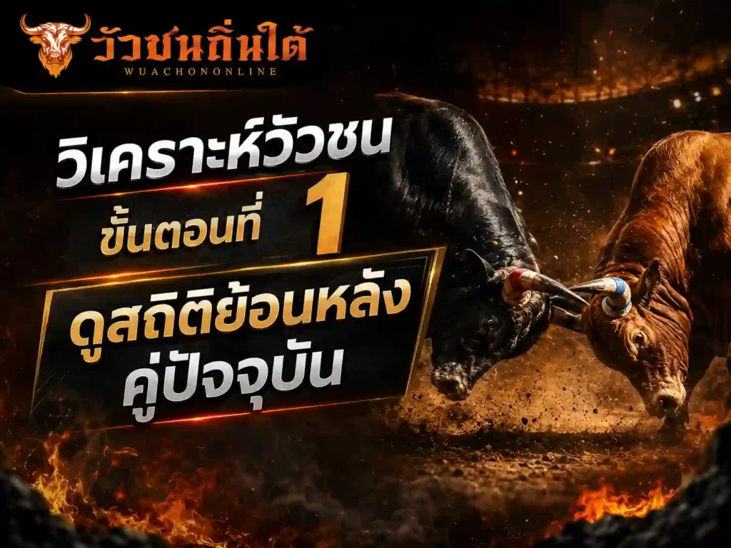 วิเคราะห์วัวชน ดูสถิติย้อนหลังคู่ปัจจุบัน