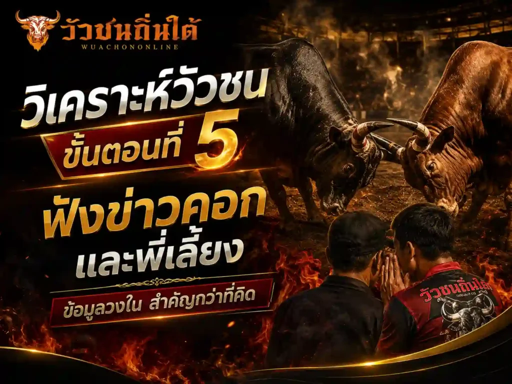 วิเคราะห์วัวชน ฟังข่าวคอกและพี่เลี้ยง