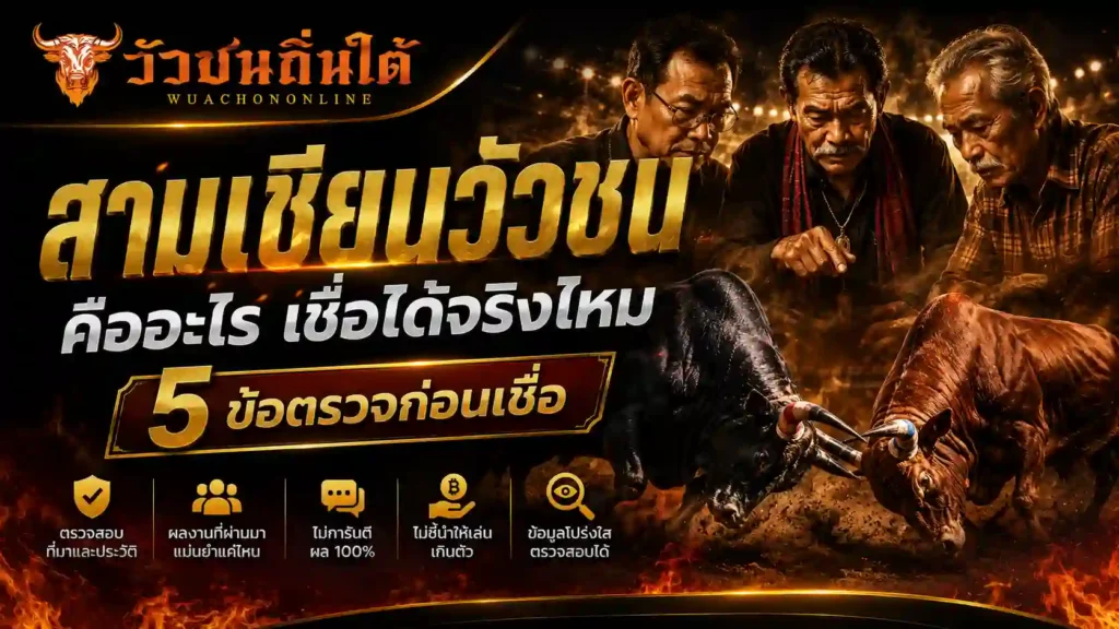 สามเซียนวัวชน คืออะไร เชื่อได้จริงไหม