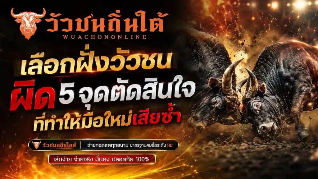 เลือกฝั่งวัวชน ผิด 5 จุดตัดสินใจที่ทำให้มือใหม่เสียซ้ำ