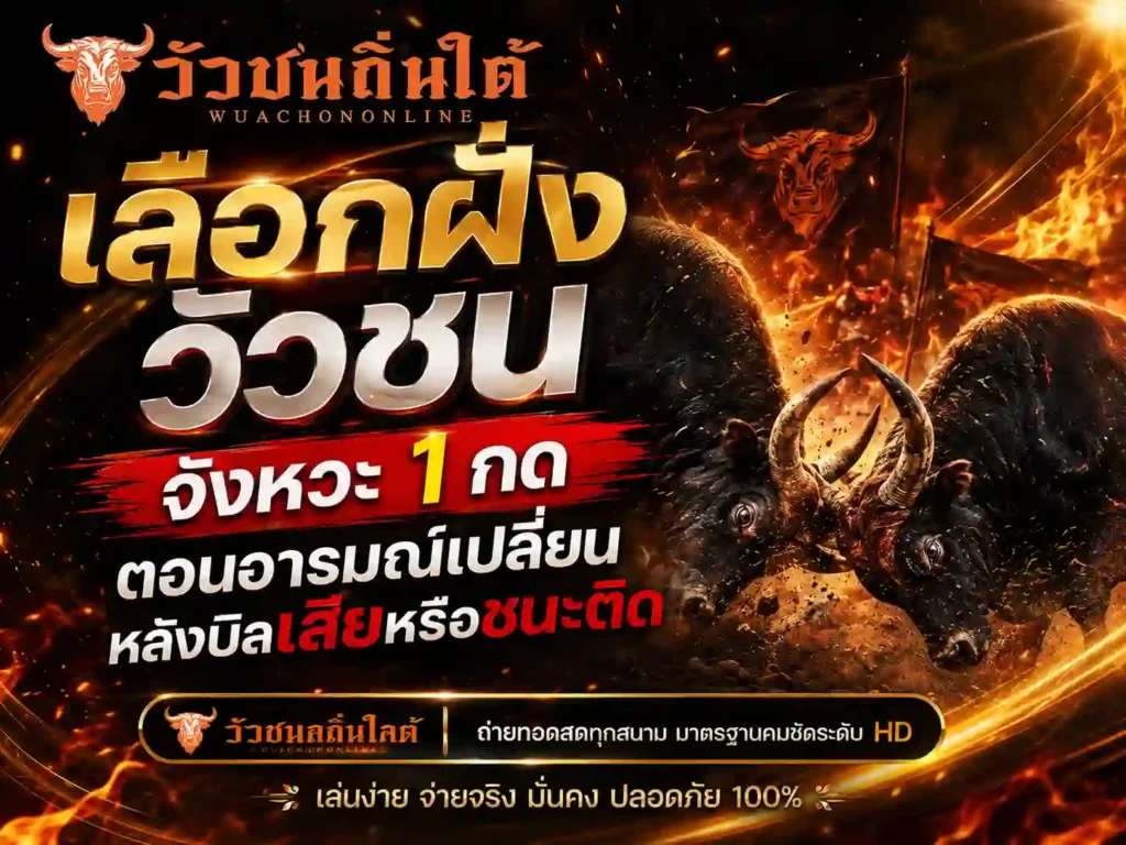 เลือกฝั่งวัวชน กดตอนอารมณ์เปลี่ยนหลังบิลเสียหรือชนะติด