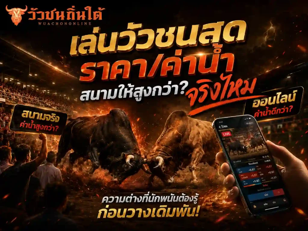 เล่นวัวชนสด ราคา/ค่าน้ำ สนามให้สูงกว่า?