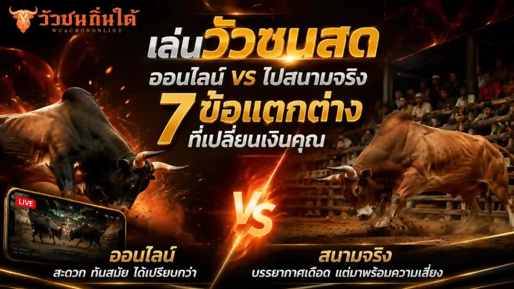 เล่นวัวชนสด ออนไลน์ vs ไปสนามจริง