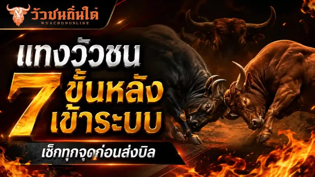 แทงวัวชน 7 ขั้นหลังเข้าระบบ เช็กทุกจุดก่อนส่งบิล 