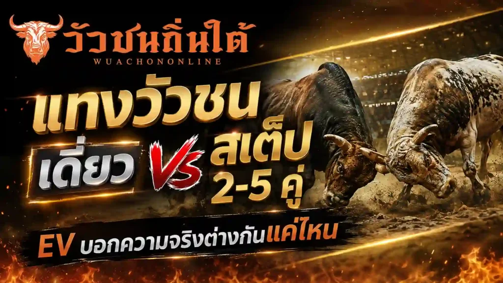 แทงวัวชน เดี่ยว vs สเต็ป 2-5 คู่ EV บอกความจริง