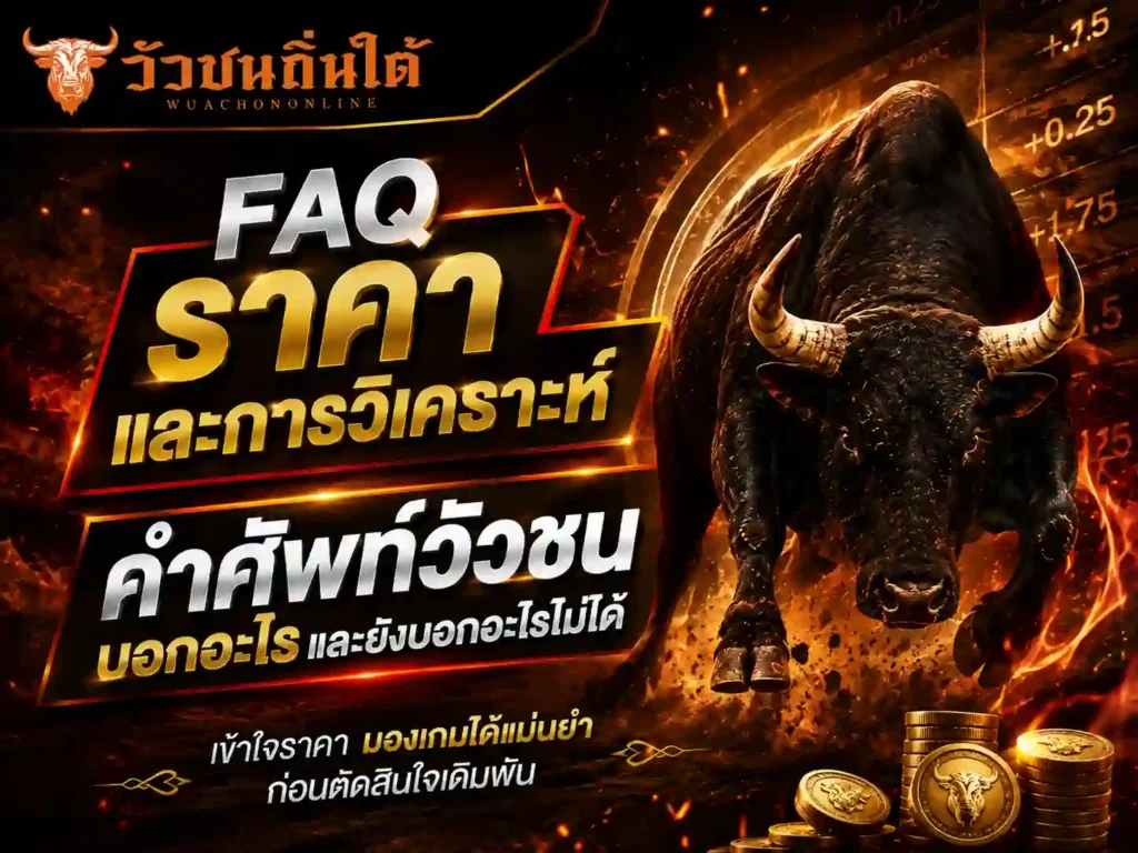 FAQ มือใหม่ คำศัพท์ กีฬาวัวชน ควรเริ่มจากตรงไหน