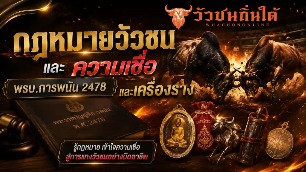 กฎหมายวัวชน และ ความเชื่อ พรบ.การพนัน 2478
