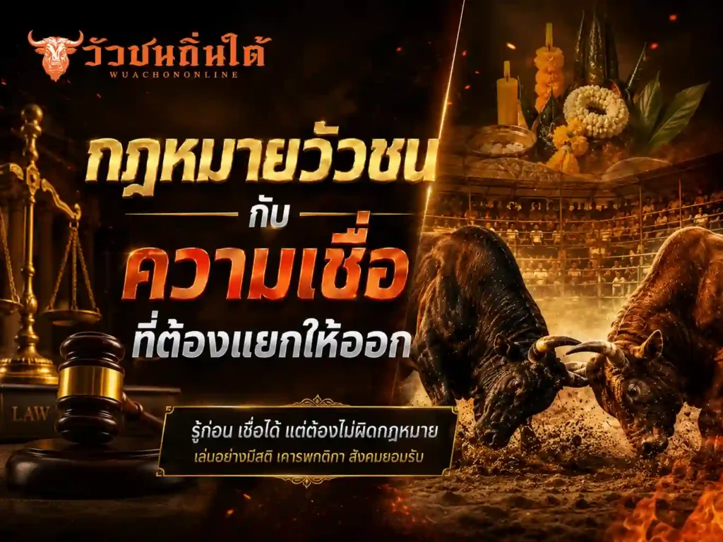 กฎหมายวัวชน กับความเชื่อที่ต้องแยกให้ออก