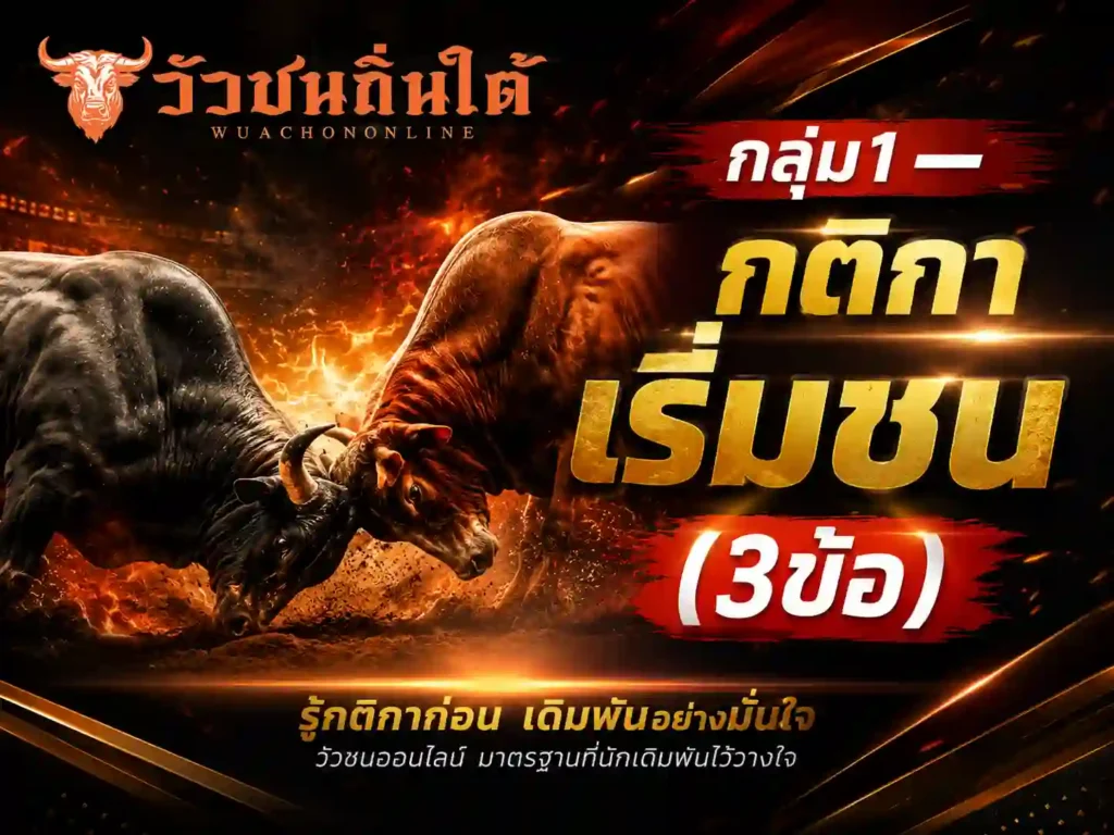 กลุ่ม1 — กติกาเริ่มชน (3ข้อ)
