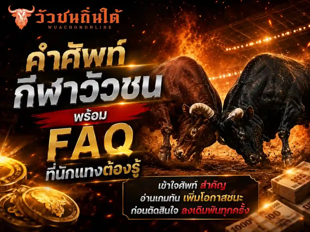 คำศัพท์ กีฬาวัวชน พร้อม FAQ ที่นักแทงต้องรู้