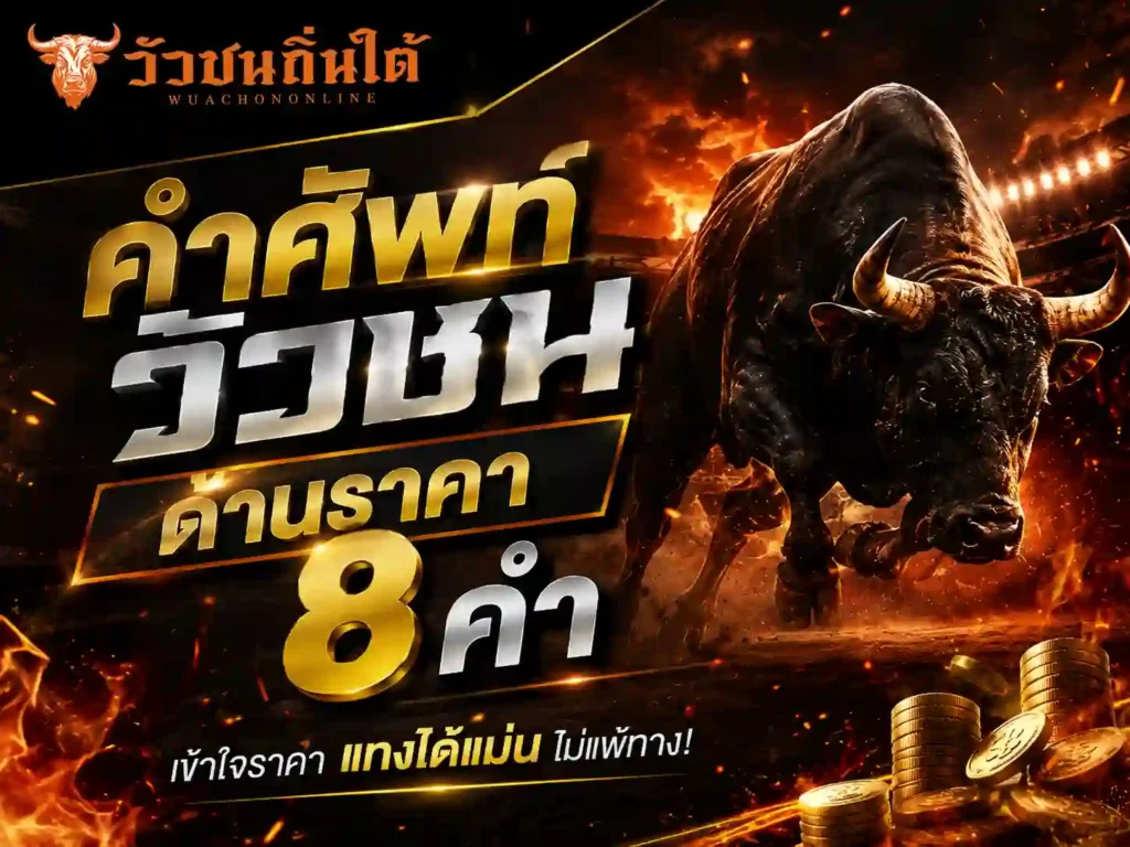คำศัพท์วัวชน ด้านราคา 8 คำ