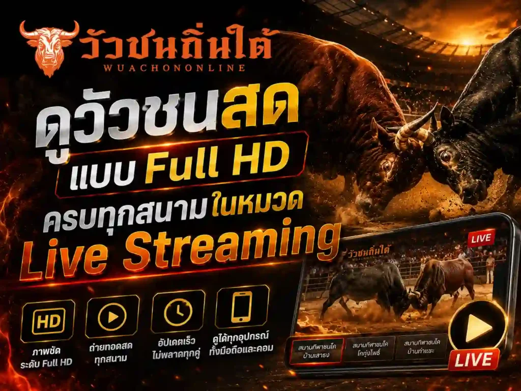 ดูวัวชนสด แบบ Full HD ครบทุกสนาม
