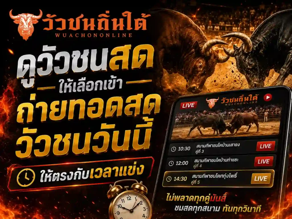 ดูวัวชนสด ให้เลือกเข้า ถ่ายทอดสดวัวชนวันนี้ ให้ตรงกับเวลาแข่ง
