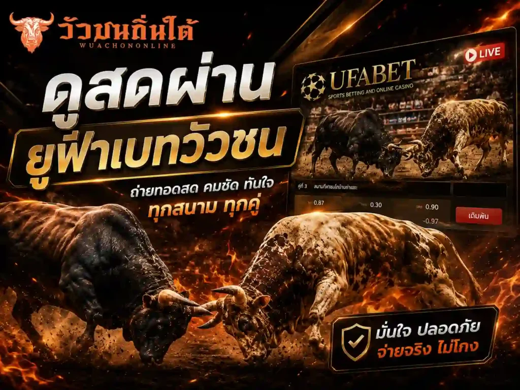 ดูสดผ่าน ยูฟ่าเบทวัวชน