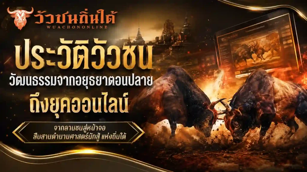 ประวัติวัวชน วัฒนธรรมอยุธยาตอนปลายถึงยุคออนไลน์