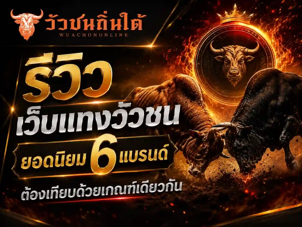 รีวิว เว็บแทงวัวชน ยอดนิยม 6 แบรนด์