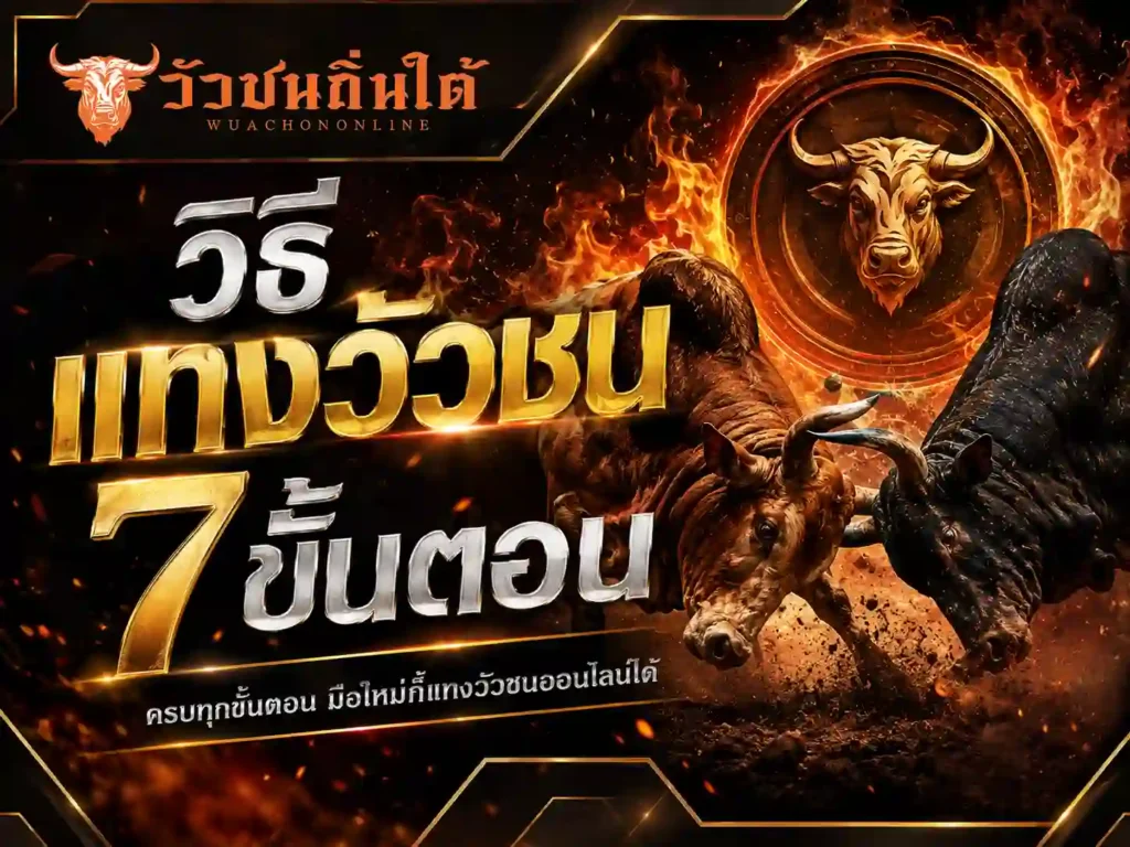 วิธี แทงวัวชน 7 ขั้นตอน