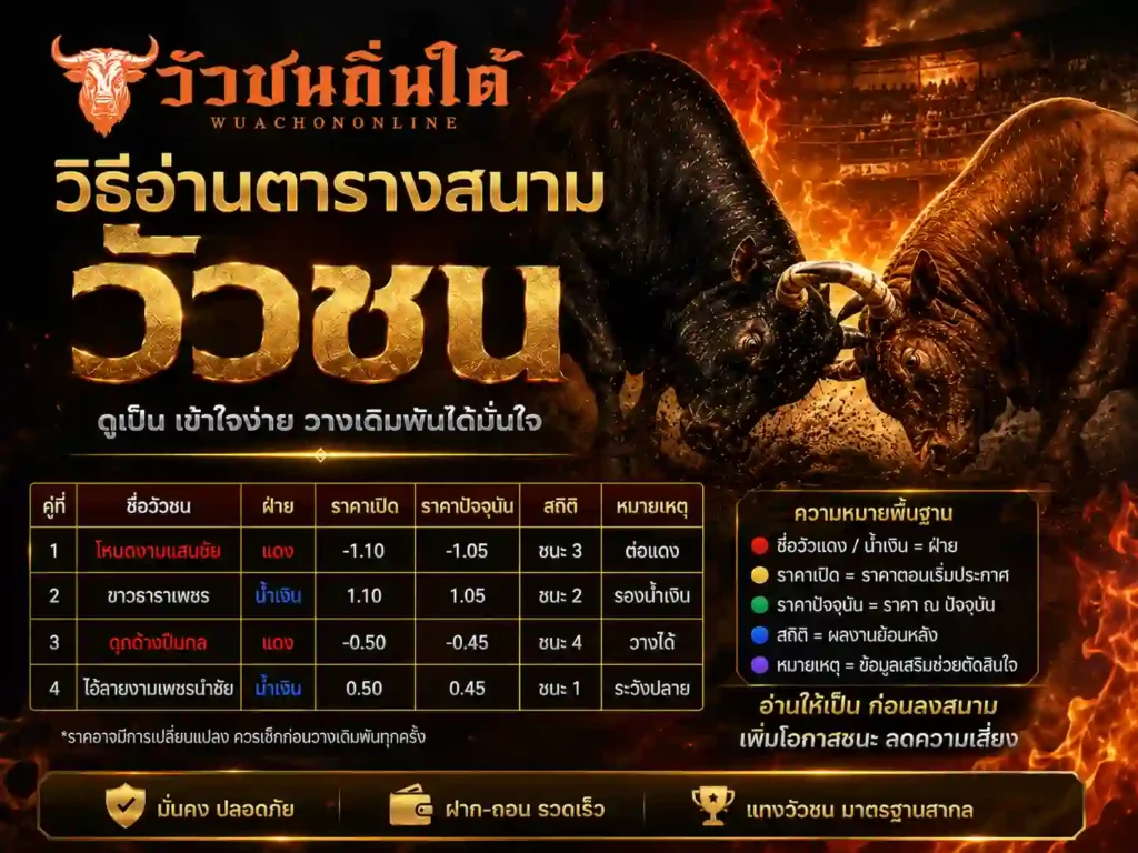 วิธีอ่านตารางสนาม วัวชน