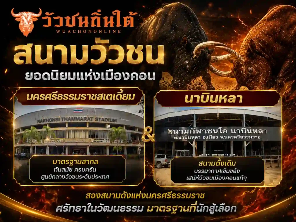 สนามวัวชน นครศรีธรรมราชสเตเดี้ยม และนาบินหลา