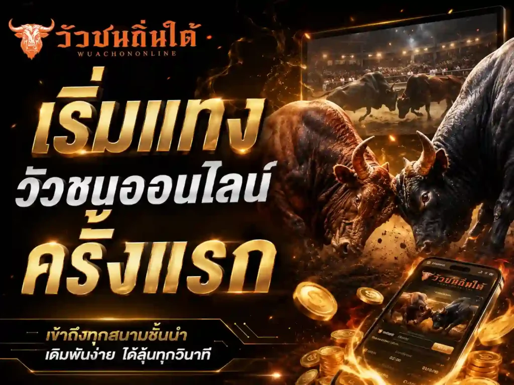 เริ่มแทง วัวชนออนไลน์ ครั้งแรก
