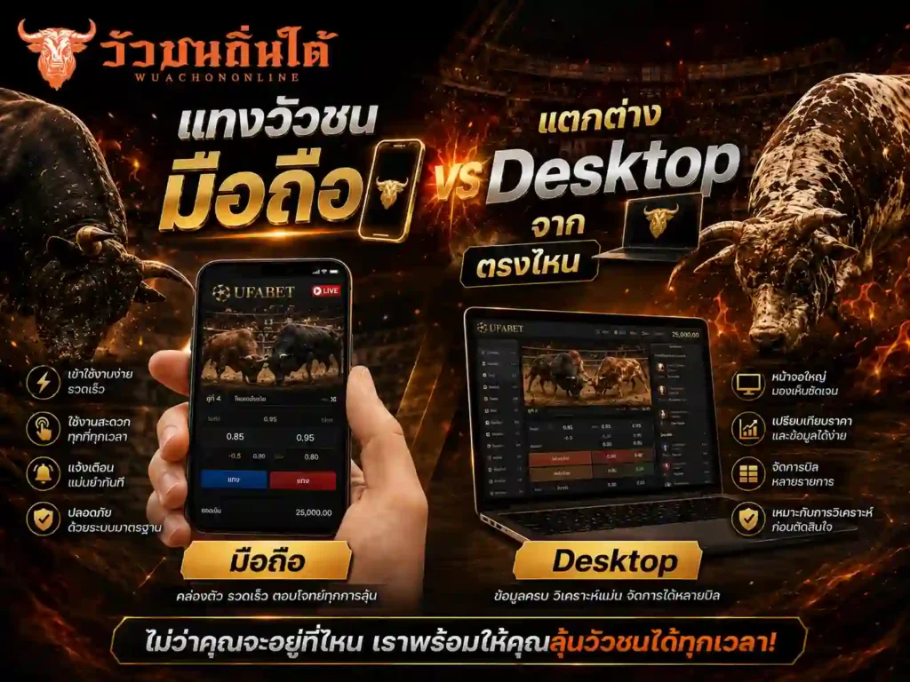 แทงวัวชนมือถือ แตกต่างจาก Desktop ตรงไหน